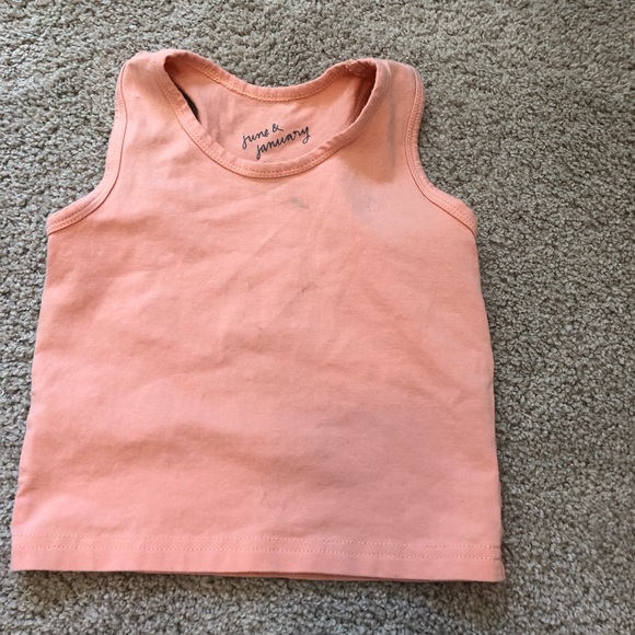 June and January Lot - Picture 5 of 7